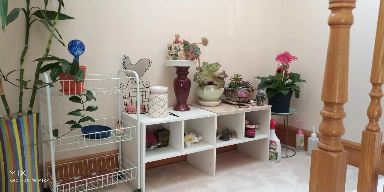 Helen'S House / Close To Skytrain And Airport Vancouver